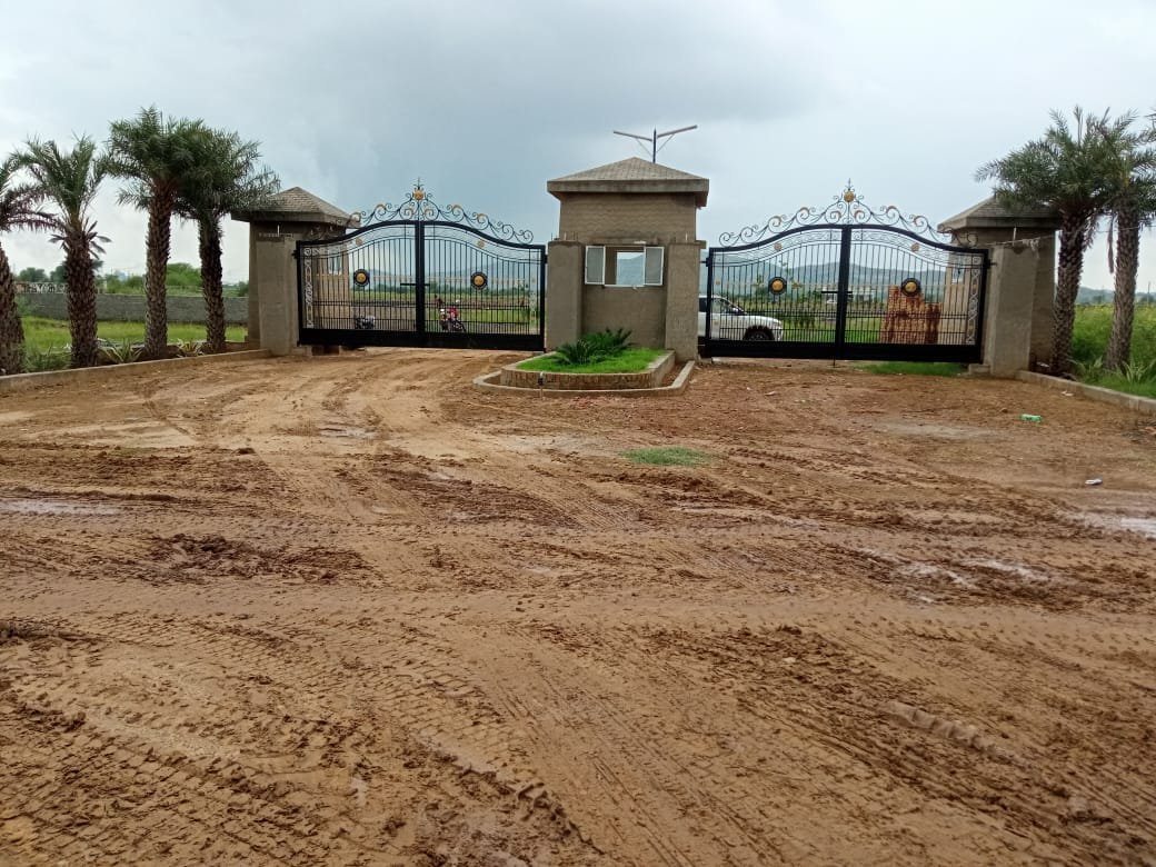 Oasis Green Overview