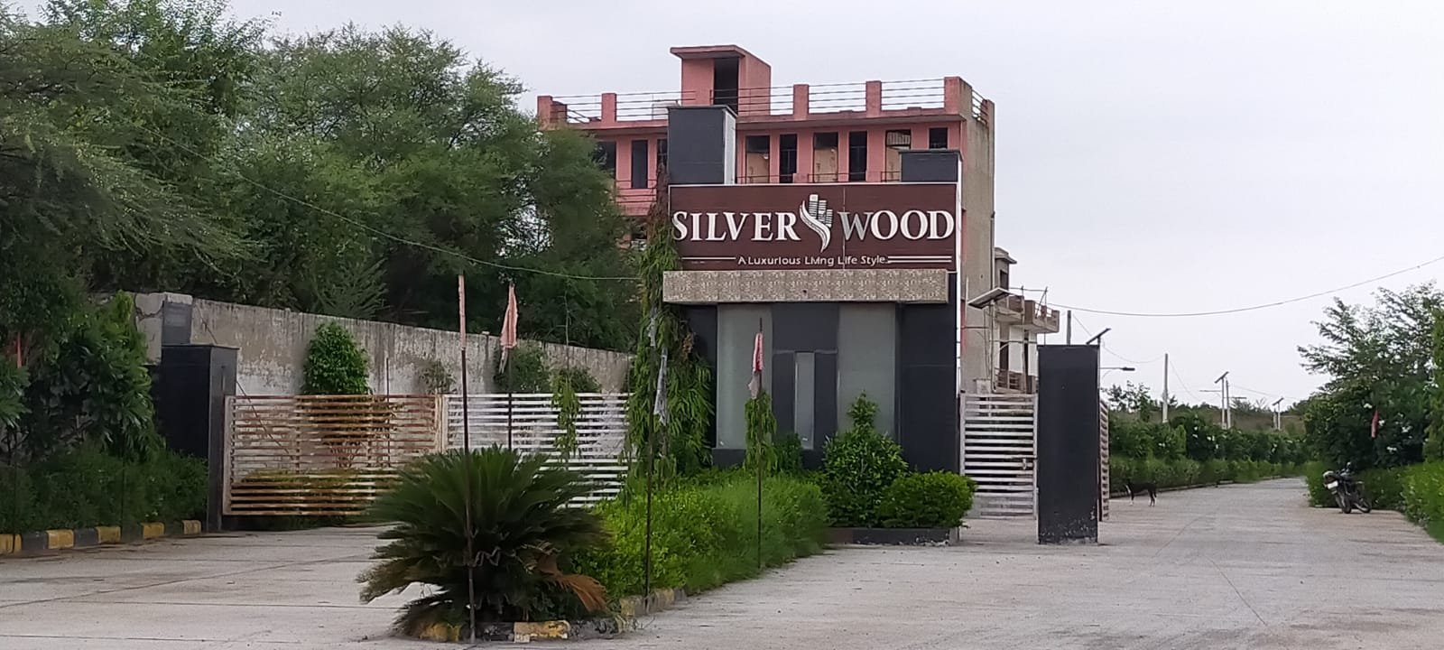 Silverwood