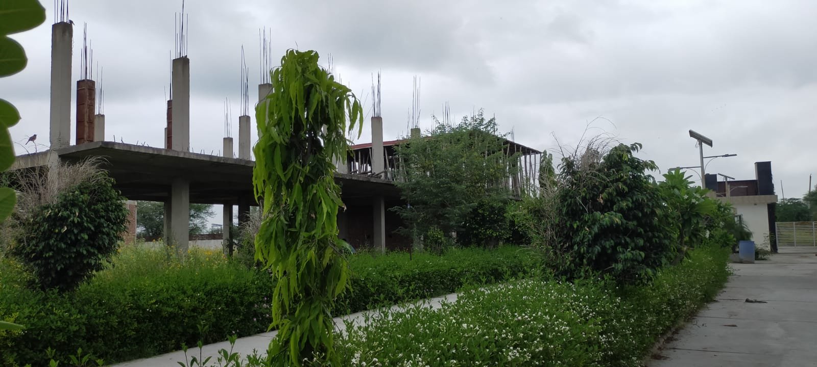 Silverwood Gallery 1